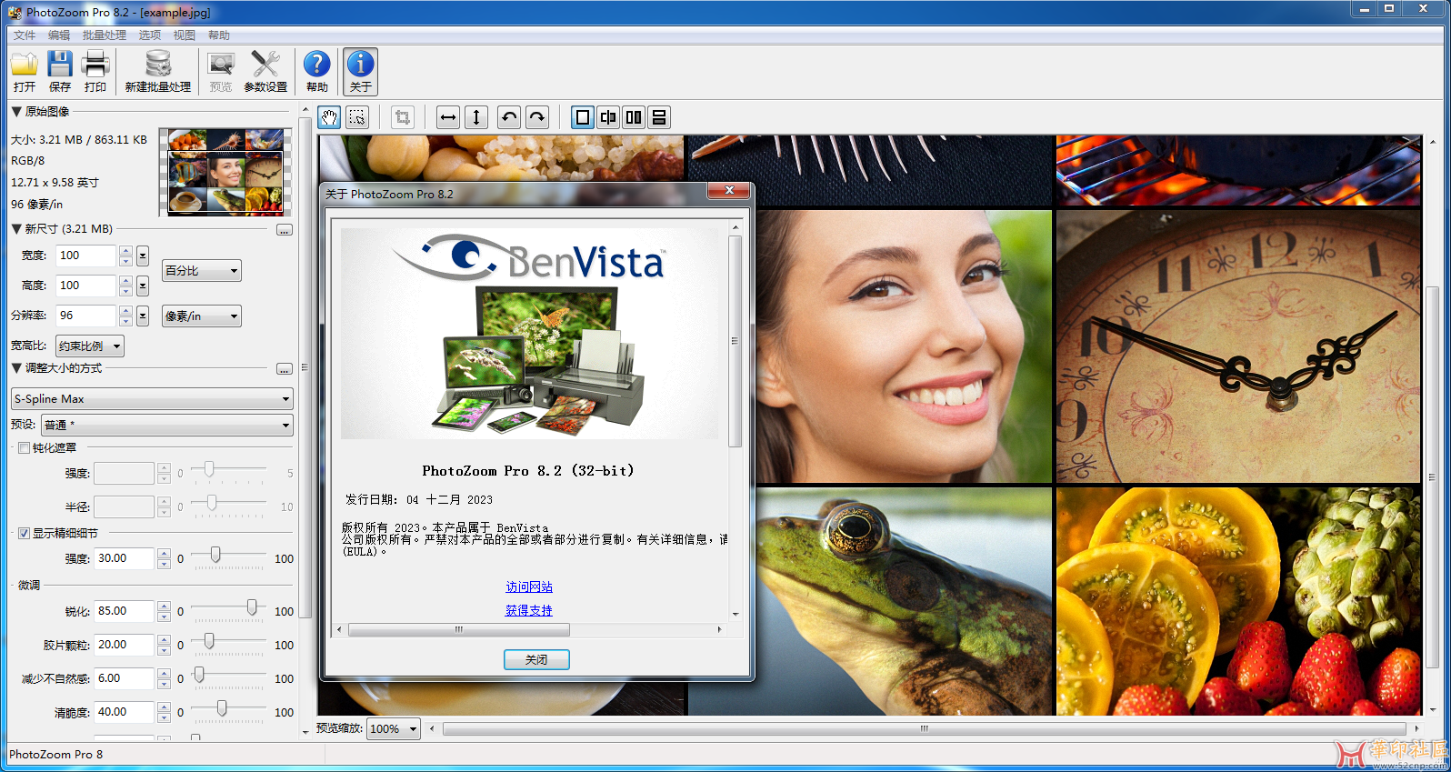 Benvista PhotoZoom Pro  v8.2.0 x86 x64 图片无损放大{tag}(1)