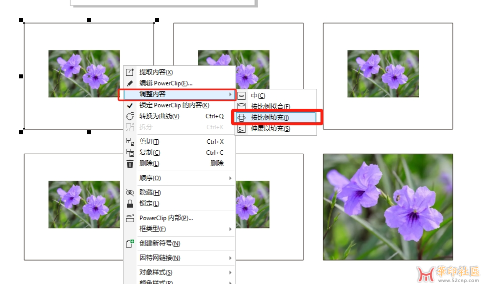 CDR图片置入矩形框调整内容按比例填充快捷键{tag}(1)