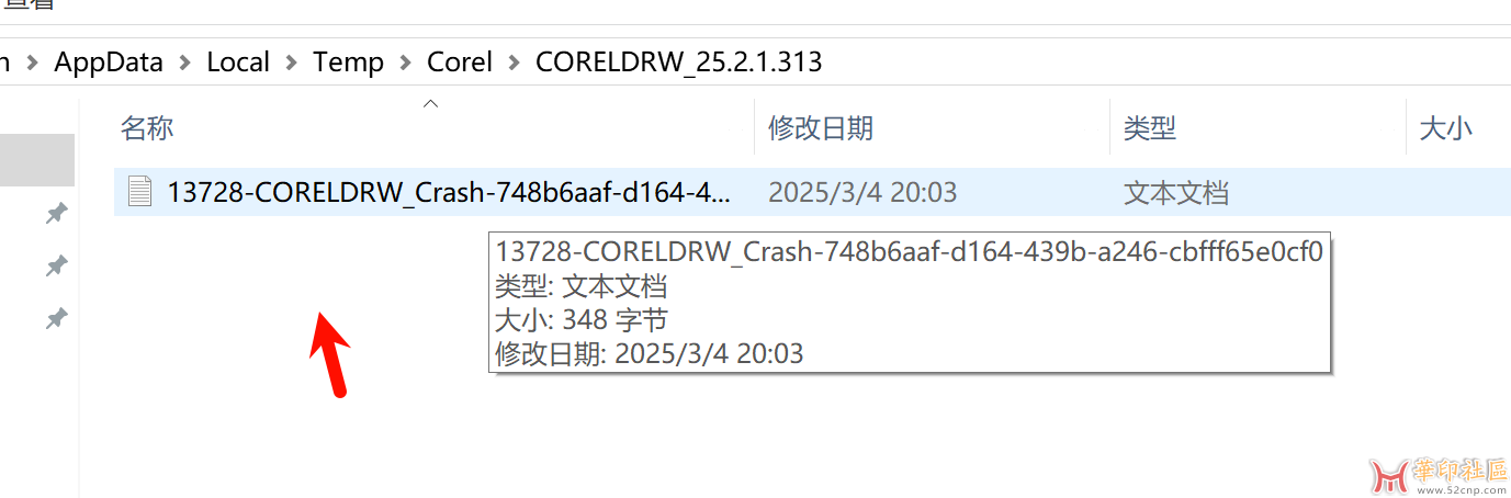 Coreldraw2024-25.1.0.269-Nocrashpad-patch-加速补丁{tag}(3)